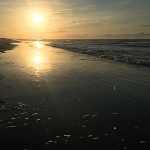 Meet your Posher, Lily